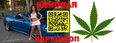 дживик Кунгур